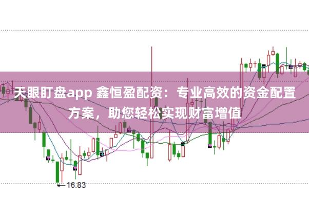 天眼盯盘app 鑫恒盈配资：专业高效的资金配置方案，助您轻松实现财富增值