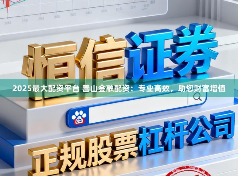 2025最大配资平台 善山金融配资：专业高效，助您财富增值