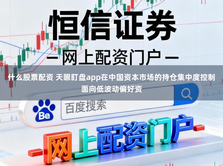 什么股票配资 天眼盯盘app在中国资本市场的持仓集中度控制面向低波动偏好资