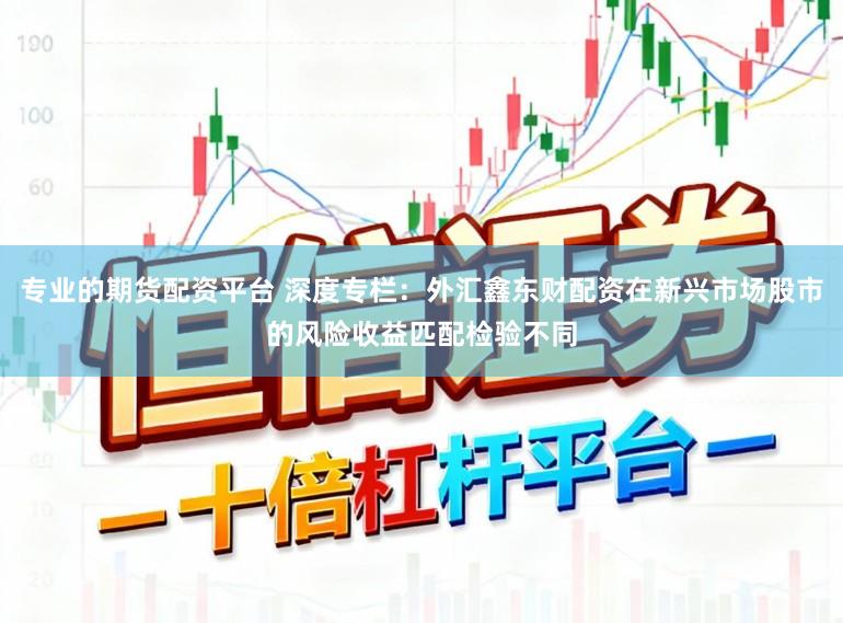 专业的期货配资平台 深度专栏：外汇鑫东财配资在新兴市场股市的风险收益匹配检验不同