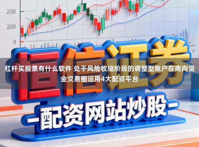 杠杆买股票有什么软件 处于风险收缩阶段的调整型账户在南向资金交易圈运用4大配资平台